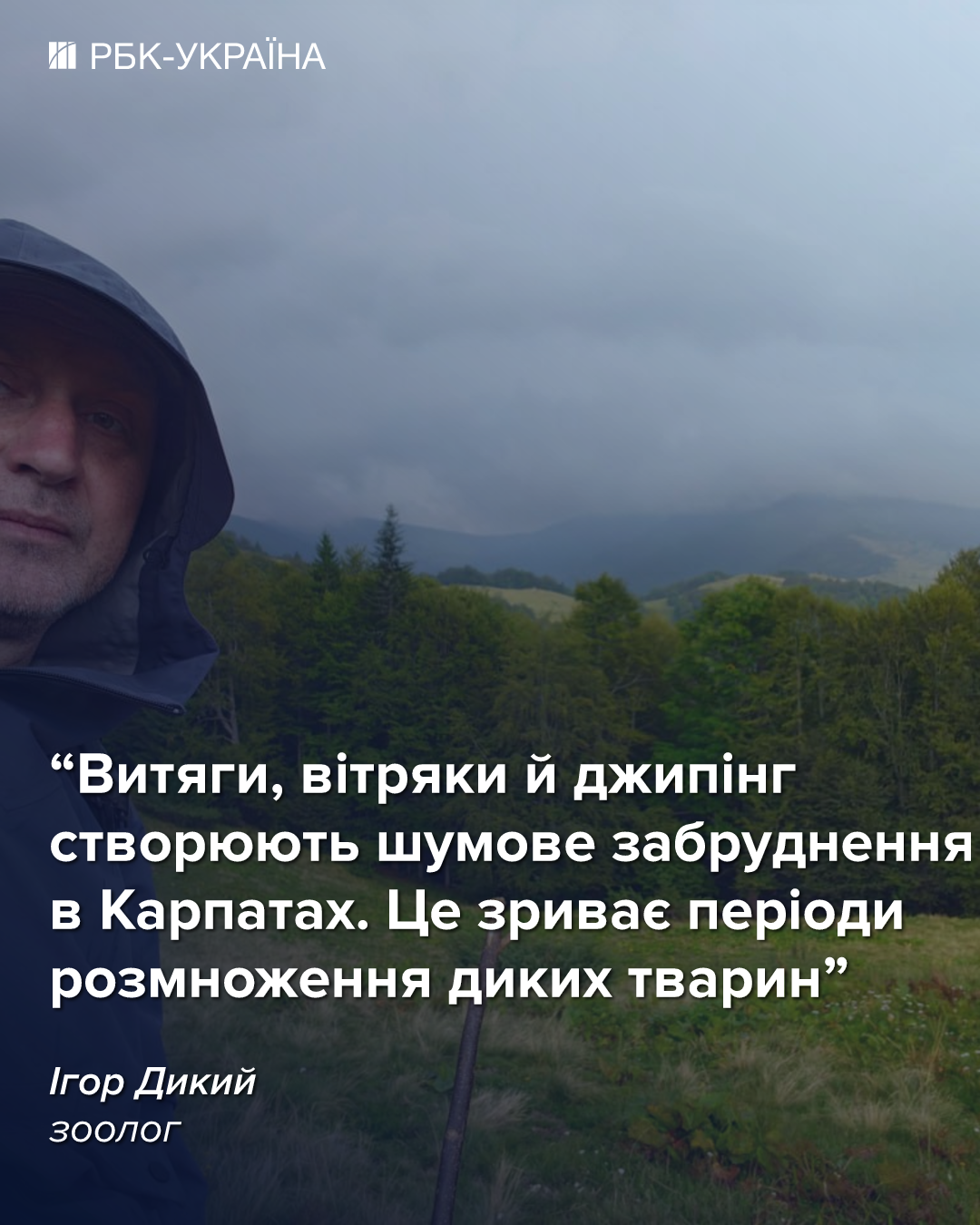 Курорти і вітряки замість пралісів: як забудова Карпат нищить домівки рідкісних тварин